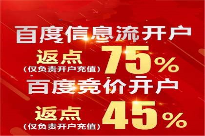 实战解析：百度竞价代运营公司如何实现广告投放效果最大化